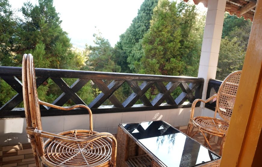 Cozyo Stays Premium Boutique Home Ziro