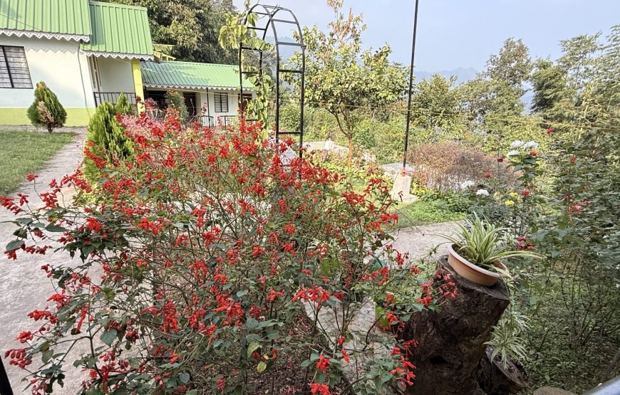 Cozyo stays boutique garden cottages sittong