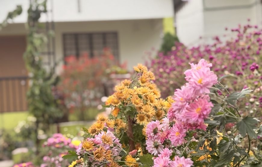 Cozyo stays boutique garden cottages sittong