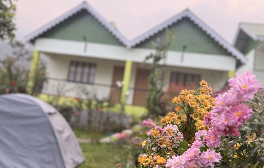 Cozyo stays boutique garden cottages sittong